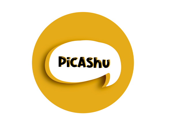 PicAshu